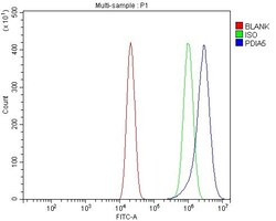 Invitrogen PDIR Polyclonal Antibody 100 &mu;g; Unconjugated:Antibodies,