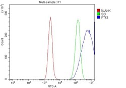 Invitrogen C14orf179 Polyclonal Antibody 100 &mu;g; Unconjugated:Antibodies,