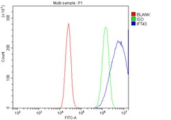 Invitrogen C14orf179 Polyclonal Antibody 100 &mu;g; Unconjugated:Antibodies,