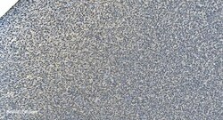 Invitrogen LSM8 Polyclonal Antibody 100 &mu;g; Unconjugated:Antibodies,