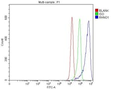 Invitrogen C12orf32 Polyclonal Antibody 100 &mu;g; Unconjugated:Antibodies,