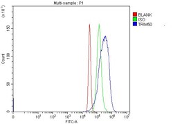 Invitrogen TRIM50 Polyclonal Antibody 100 &mu;g; Unconjugated:Antibodies,
