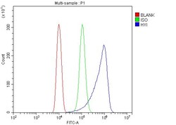 Invitrogen HYI Polyclonal Antibody 100 &mu;g; Unconjugated:Antibodies,