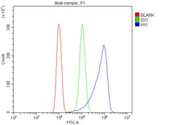 Invitrogen HYI Polyclonal Antibody 100 &mu;g; Unconjugated:Antibodies,