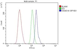 DELE Polyclonal Antibody, Invitrogen 100 &mu;g; Unconjugated:Antibodies,
