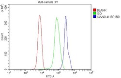 DELE Polyclonal Antibody, Invitrogen 100 &mu;g; Unconjugated:Antibodies,