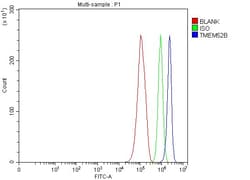 Invitrogen TMEM52B Polyclonal Antibody 100 &mu;g; Unconjugated:Antibodies,