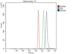 Invitrogen ZMYM1 Polyclonal Antibody 100 μg; Unconjugated:Antibodies,