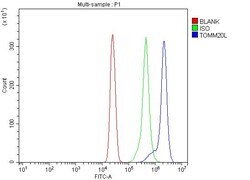 Invitrogen TOMM20L Polyclonal Antibody 100 &mu;g; Unconjugated:Antibodies,