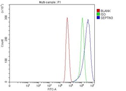 Invitrogen Septin 3 Polyclonal Antibody 100 &mu;g; Unconjugated:Antibodies,