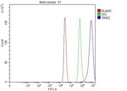 Invitrogen TIMD2 Polyclonal Antibody 100 &mu;g; Unconjugated:Antibodies,