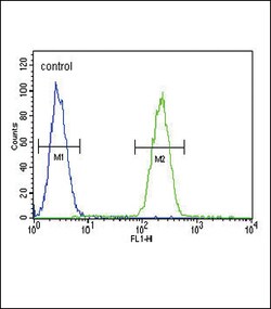 Invitrogen GIPR Polyclonal Antibody 400 &mu;L; Unconjugated:Antibodies,