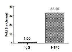 Invitrogen Mono-methyl-Histone 1F0 (Lys81) Polyclonal Antibody 100 &mu;L;