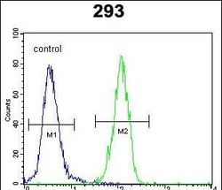Invitrogen p21 Polyclonal Antibody 400 &mu;L; Unconjugated:Antibodies,