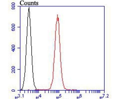 Invitrogen TRPV6 Polyclonal Antibody 100 &mu;L; Unconjugated:Antibodies,