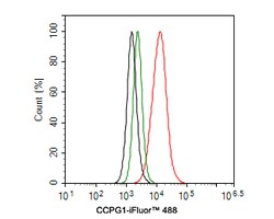 Invitrogen CCPG1 Polyclonal Antibody 100 &mu;L; Unconjugated:Antibodies,