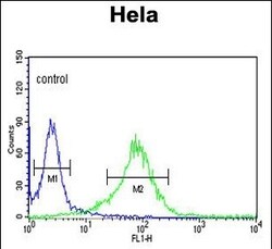 Invitrogen LUM Polyclonal Antibody 400 &mu;L; Unconjugated:Anticorps, Polyclonal