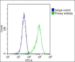 Invitrogen FGFR2 Polyclonal Antibody 400 &mu;L | Buy Online | Invitrogen&trade; | Fisher Scientific
