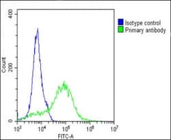 Invitrogen ROR1 Polyclonal Antibody 200 &mu;L; Unconjugated:Antibodies,