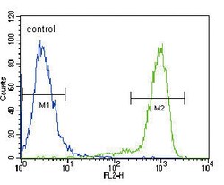 Invitrogen TrkA Polyclonal Antibody 400 &mu;L; Unconjugated:Antibodies,
