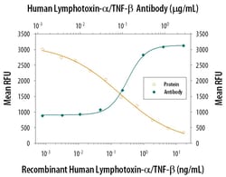 Invitrogen TNF beta Polyclonal Antibody 1 mg; Unconjugated:Anticuerpos