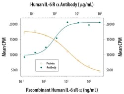 Invitrogen IL-6 Receptor Polyclonal Antibody 1 mg; Unconjugated:Antibodies,