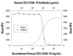 Invitrogen CXCL5 Polyclonal Antibody 1 mg; Unconjugated:Antibodies, Polyclonal