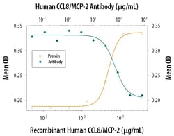 Invitrogen MCP-2 Polyclonal Antibody 1 mg; Unconjugated:Antibodies, Polyclonal