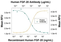 Invitrogen FGF20 Polyclonal Antibody 100 &mu;g; Unconjugated:Antibodies,