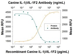 Invitrogen IL-1 beta Polyclonal Antibody 100 &mu;g; Unconjugated:Antibodies,