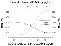 Invitrogen NRG1 Isoform SMDF Polyclonal Antibody 100 &mu;g; Unconjugated:Antikörper