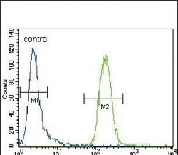 Invitrogen CYP3A4 Polyclonal Antibody 200 &mu;L; Unconjugated:Antibodies,