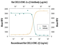 Invitrogen CXCL3 Polyclonal Antibody 100 &mu;g; Unconjugated:Antikörper