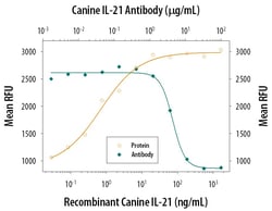 Invitrogen IL-21 Polyclonal Antibody 100 &mu;g; Unconjugated:Antikörper