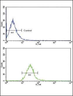 Invitrogen PTK7 Polyclonal Antibody 400 &mu;L; Unconjugated:Antibodies,