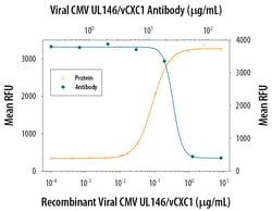 Invitrogen Cytomegalovirus UL146 Polyclonal Antibody 100 &mu;g; Unconjugated:Antibodies,