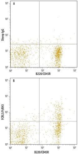 Invitrogen CD307e (FcRL5) Polyclonal Antibody 100 &mu;g; Unconjugated:Antibodies,