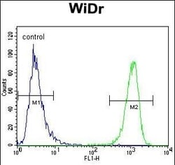 Invitrogen MUC20 Polyclonal Antibody 400 &mu;L; Unconjugated:Antibodies,