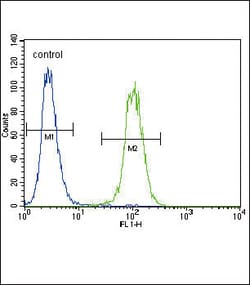 Invitrogen Urokinase Polyclonal Antibody 400 &mu;L; Unconjugated:Antibodies,