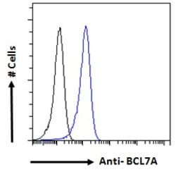 Invitrogen BCL7A Polyclonal Antibody 100 &mu;g; Unconjugated:Antibodies,