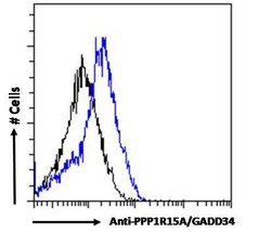 Invitrogen GADD34 Polyclonal Antibody 100 &mu;g; Unconjugated:Antibodies,