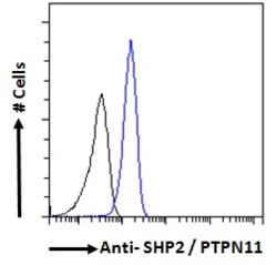 SHP2 Polyclonal Antibody, Invitrogen&trade; 100 &mu;g; Unconjugated 