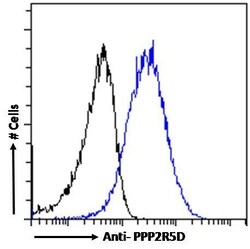 Invitrogen PPP2R5D Polyclonal Antibody 100 &mu;g; Unconjugated:Antibodies,