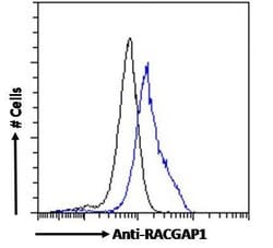 Invitrogen RACGAP1 Polyclonal Antibody 100 &mu;g; Unconjugated:Antibodies,