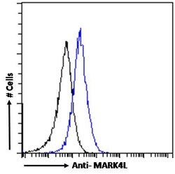 Invitrogen MARK4 Polyclonal Antibody 100 &mu;g | Buy Online | Invitrogen&trade; | Fisher Scientific
