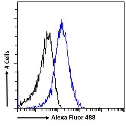 Invitrogen HLTF Polyclonal Antibody 100 &mu;g; Unconjugated:Antibodies,