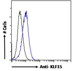 Invitrogen KLF15 Polyclonal Antibody 100 &mu;g | Buy Online | Invitrogen&trade; | Fisher Scientific