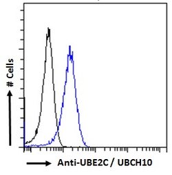 Invitrogen UBE2C Polyclonal Antibody 100 &mu;g; Unconjugated:Antibodies,