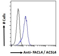 Invitrogen ACSL4 Polyclonal Antibody 100 &mu;g; Unconjugated:Antibodies,