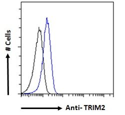 Invitrogen TRIM2 Polyclonal Antibody 100 &mu;g; Unconjugated:Antibodies,
